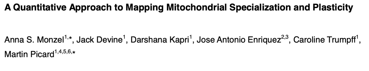 surajjpathak's tweet photo. A great pre-print! Personally, I'm an avid believer in understanding the intricacies of subpopulations of mitochondria within and across tissues.  Awesome work from @MitoPsychoBio - a lab who's work that I admire. https://t.co/iqfVS6fjar