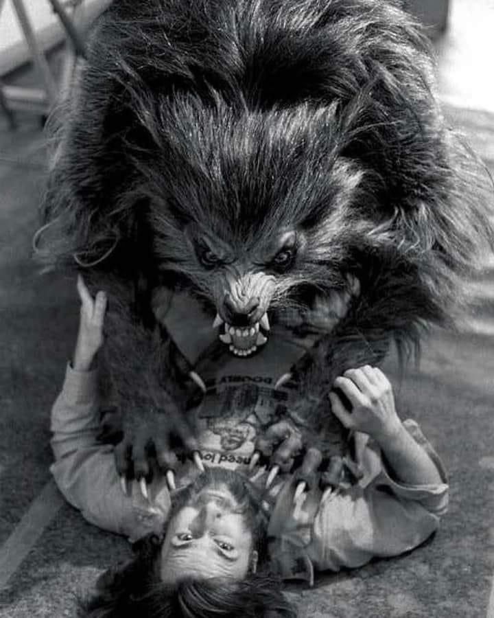 The Wolfman (☥𝐃𝐁) tweet media