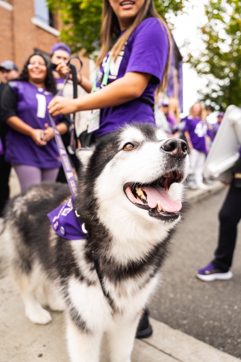 gameday gameday gameday