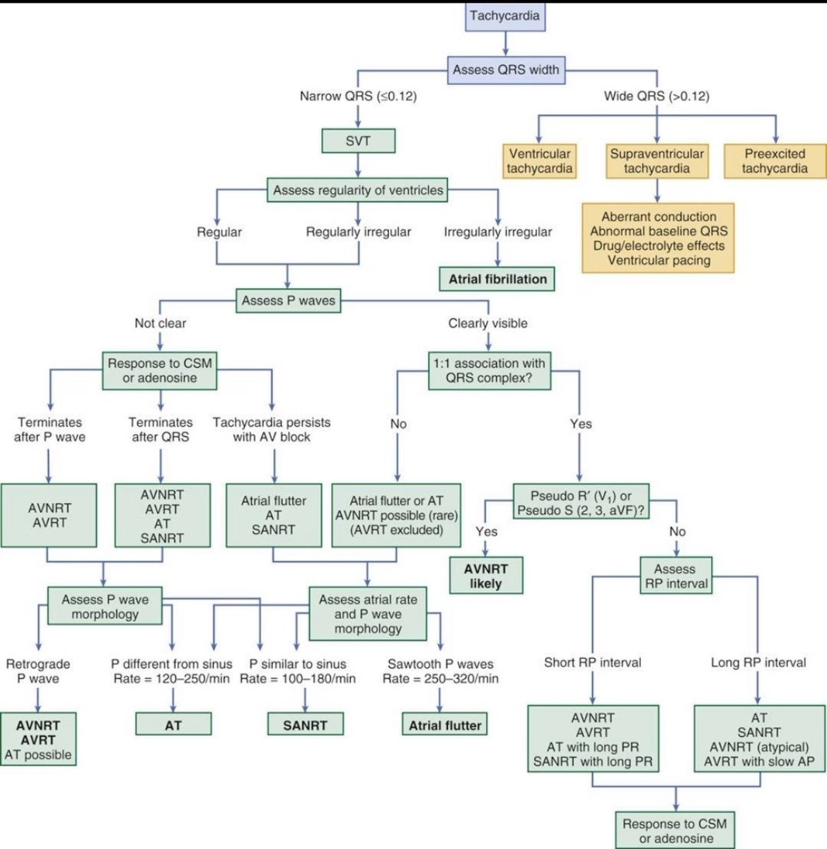 Approach to tachycardia