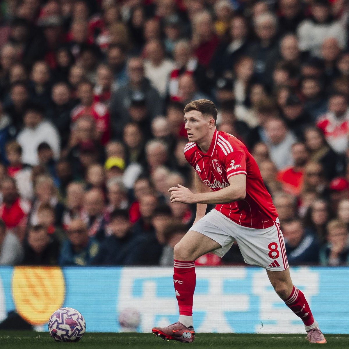 ForestTiliDie tweet media