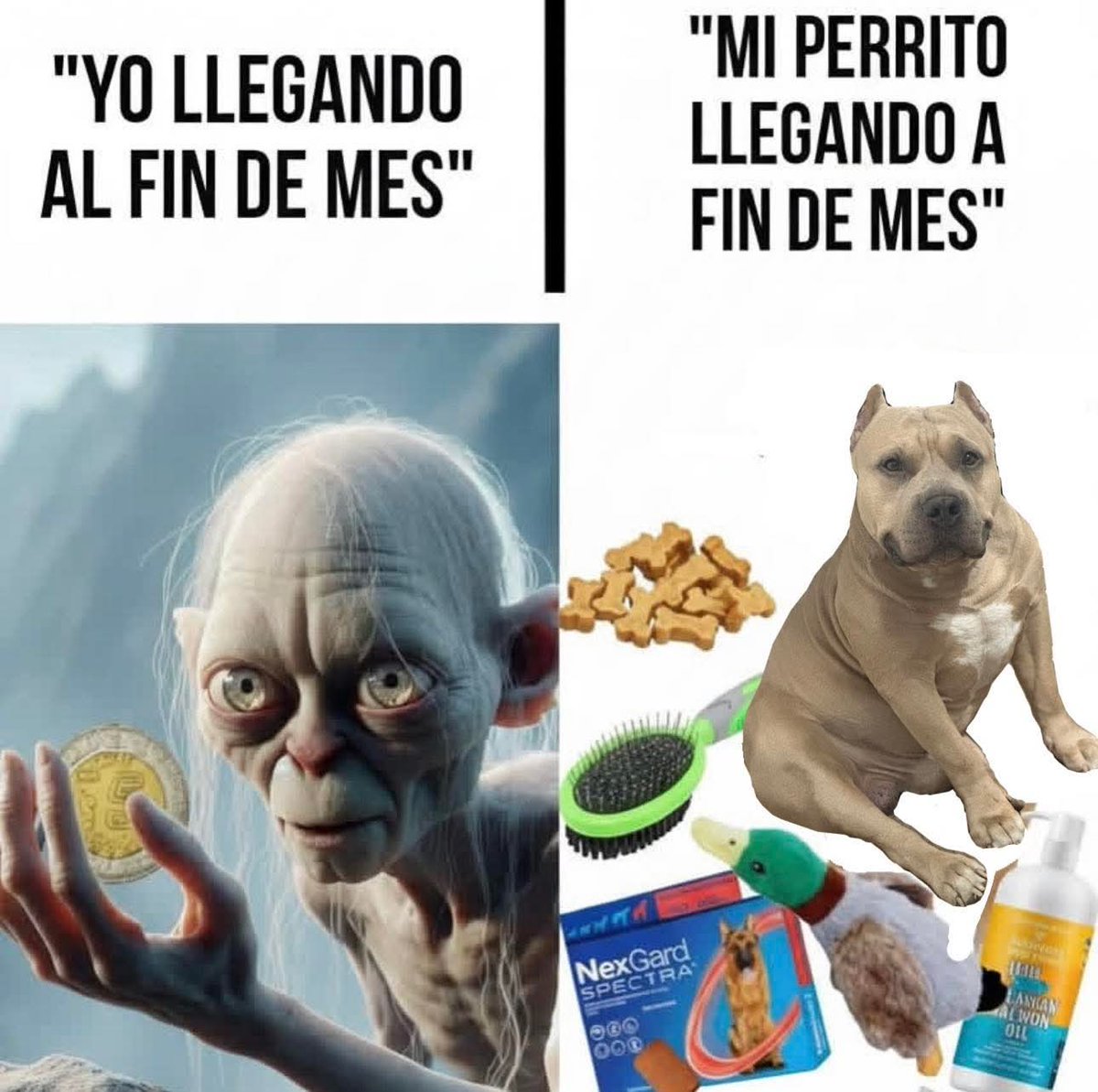 Sabueson (@sabueson) on Twitter photo 