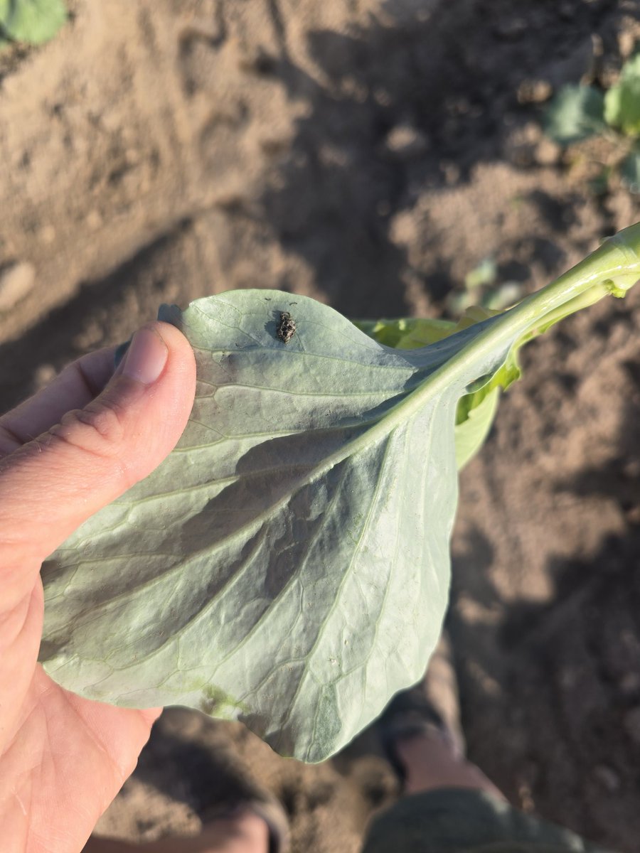 Tim Flanders tweet media