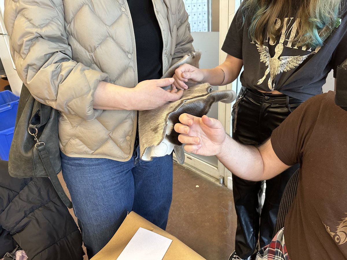 gruntgallery tweet media