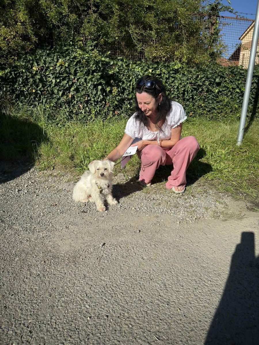 Kdopak nám to našel domov? 🏠 
Na Luckyho se konečně usmálo štěstí a nalezl domov, který potřeboval. 

Děkujeme všem, kteří ho na jeho cestě k vysněnému domovu doprovázeli, sdíleli jeho osud, nebo mu fandili. 

#domov #pes #nekupujadoptuj #pesnejvernesipritel #lovedogs