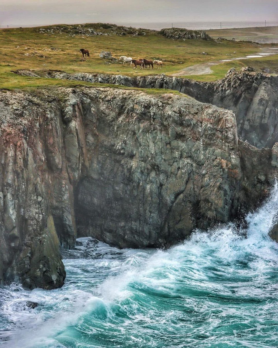 GrayMarker99's tweet image. Some of the best views are along the coastline. 

Bonavista, NL
