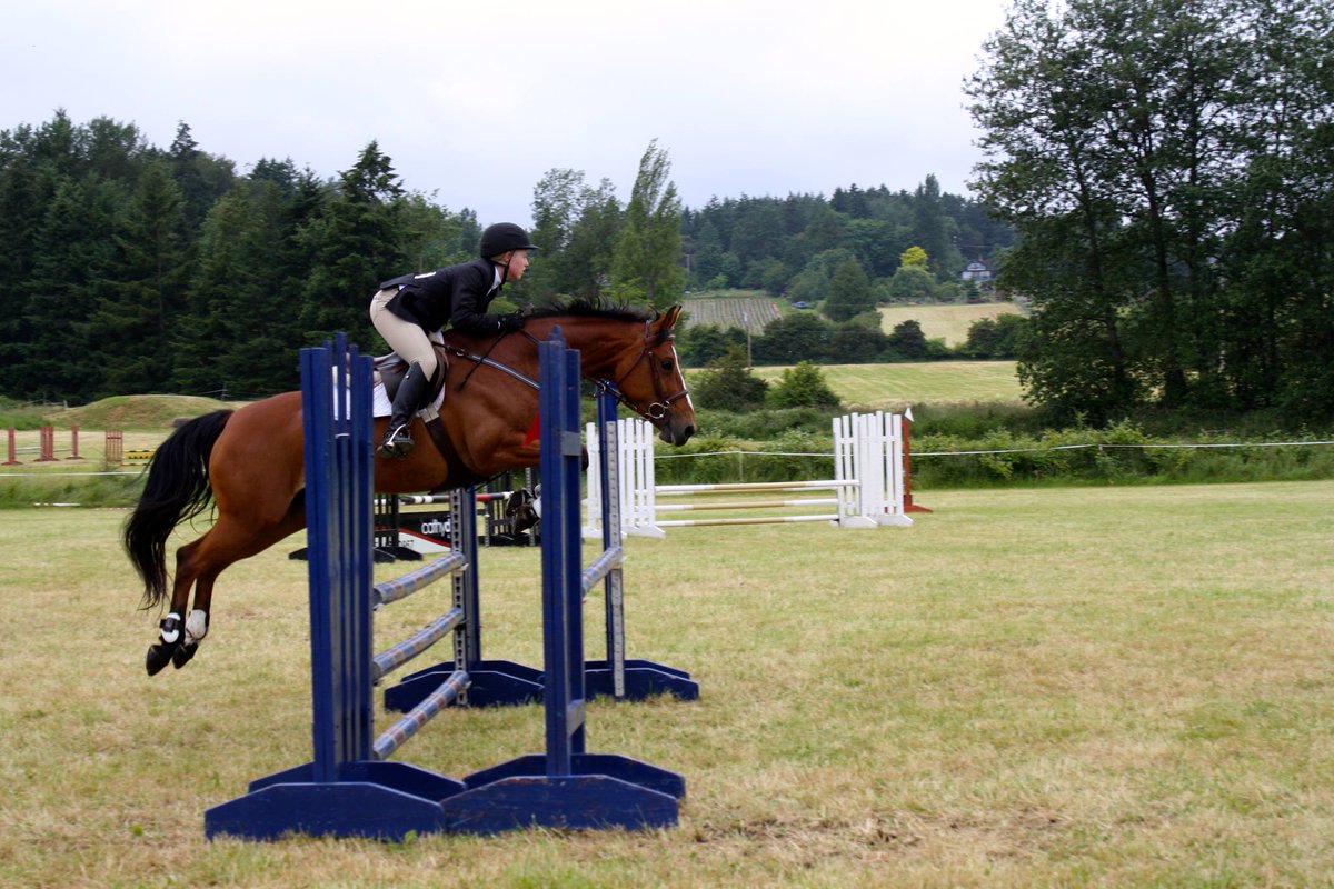 Did you take to the show ring this summer? Whether it was showjumping, dressage, barrel racing, reining, trail &amp; more, share your favourite memory from the summer competition season! 🐴