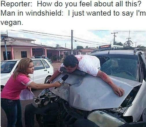 paul bee 🇦🇺 tweet media