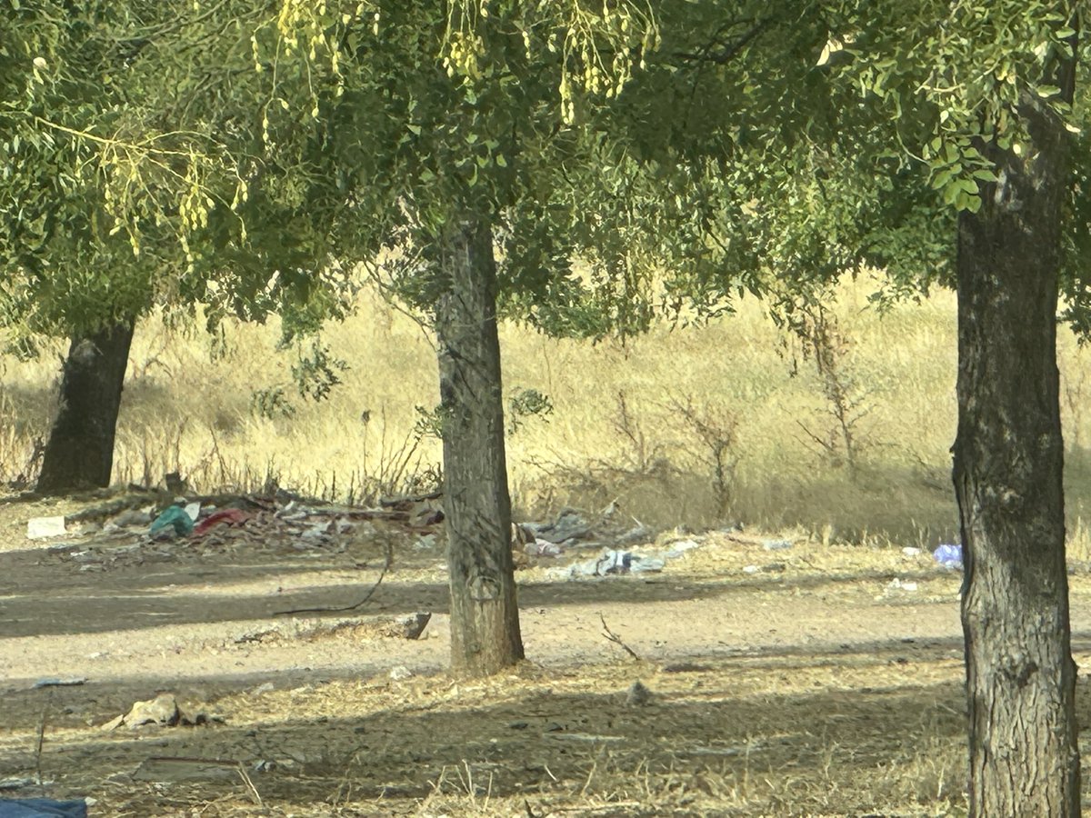 Danikopy's tweet photo. @ayuncordoba_es en acera del Río no hay mantenimiento de basura se va acumulando y hay lo dejan https://t.co/gA2ra2o5we