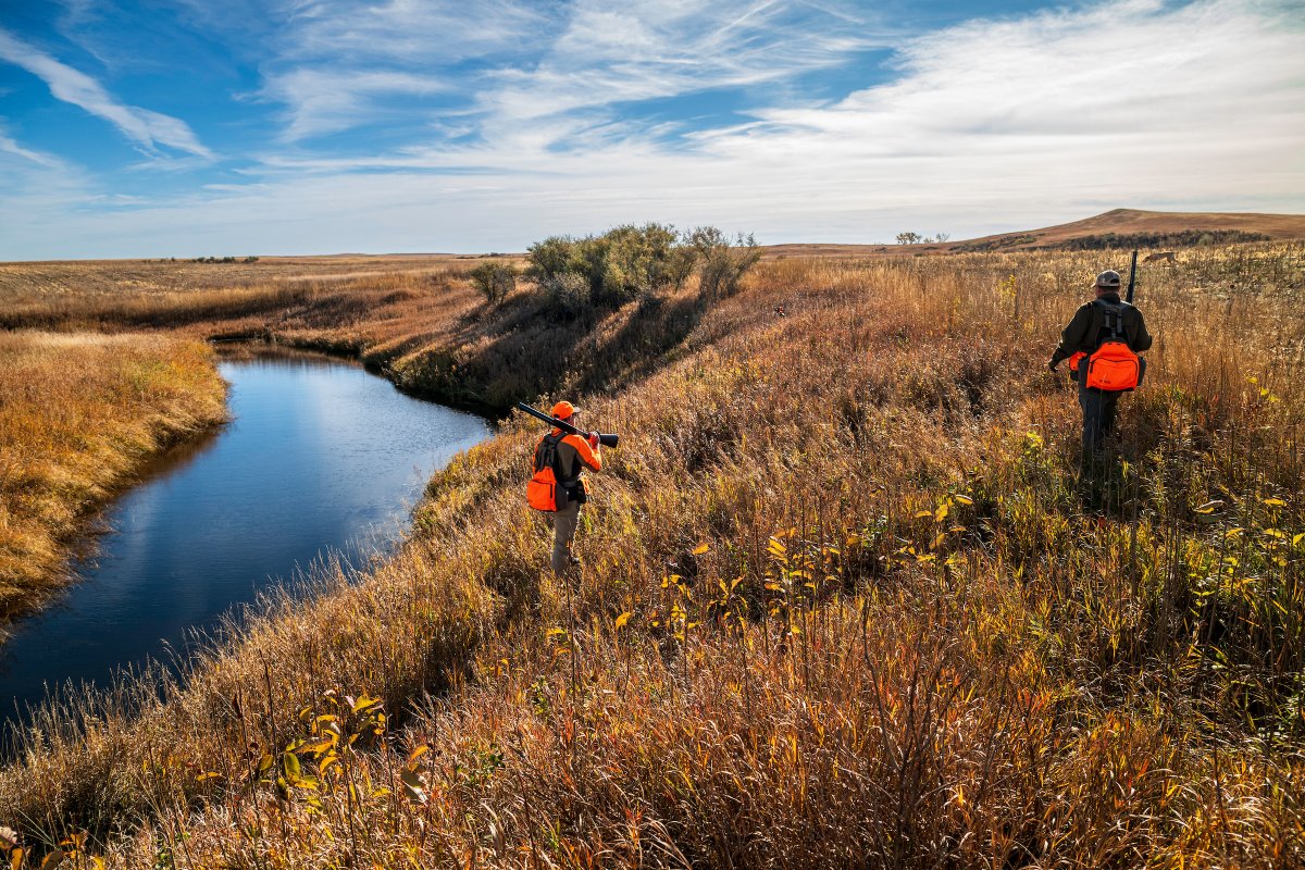 pheasants4ever's tweet photo. Today, Pheasants Forever and Quail Forever are celebrating National Hunting & Fishing Day and encouraging their 500,000 members, supporters, and partners to experience the outdoor lifestyle. The annual celebration occurs each year on the fourth Saturday of September, recognizing generations of sportsmen and women for their contributions to the conservation of our nation’s sporting heritage and natural resources.

Tap the link below to learn more about National Hunting & Fishing Day and how PF & QF support efforts to preserve and promote our hunting heritage. 
https://t.co/Zb27QCGmIx

#pheasantsforever #quailforever #thehabitatorganization