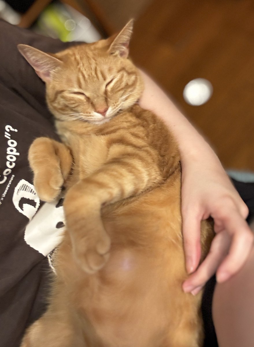 なごみ (@re_19nago) / X