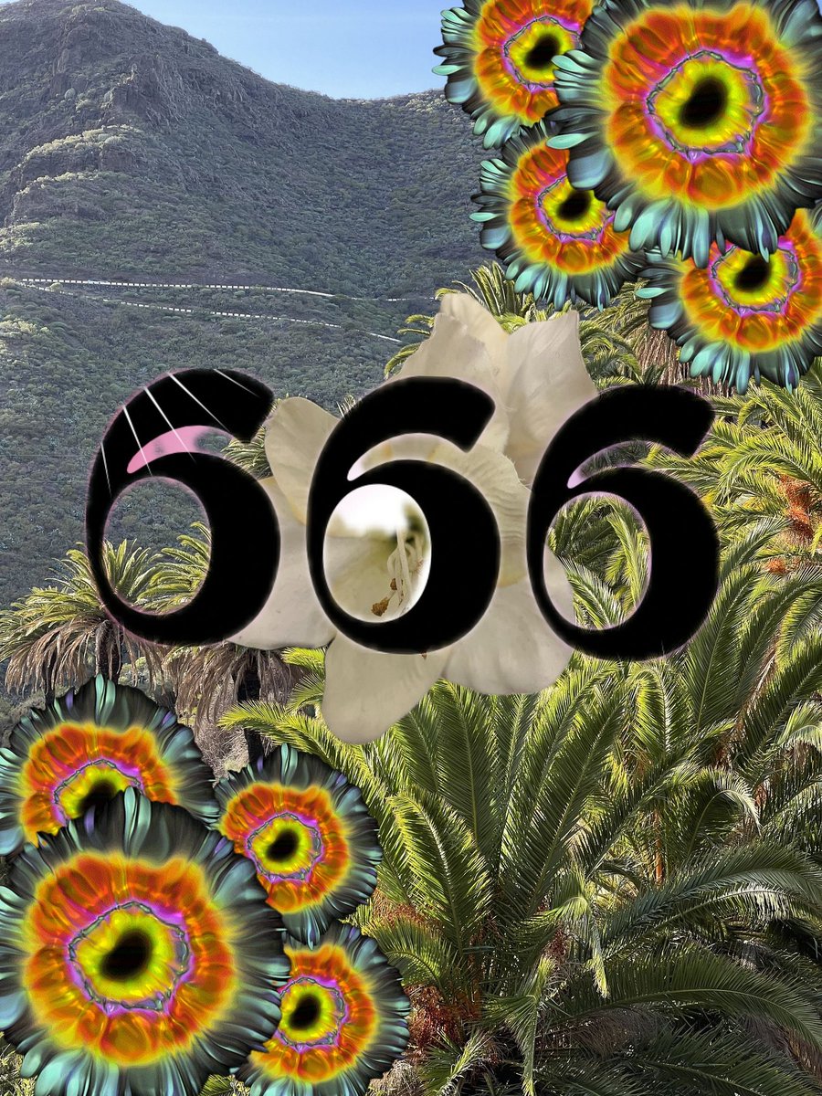 I hope this finds you in paradise - If not - This is your sign thta you will have a great getaway/adventure- may this find the right people at the right time ✨🌱🌷🪷