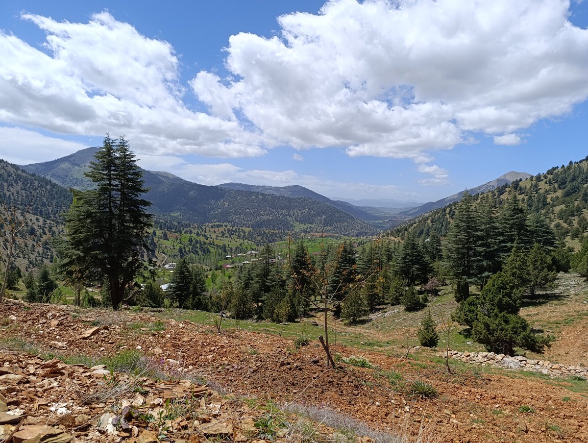 Binbir çeşit çiçekten oluşan ballarımız Kahramanmaraş il birinciliğine sahiptir.  Katkısız olup ŞEKER yoktur.

Özellikle geven kekik çiçeklerinden oluşmaktadır. Arıcı babam tarafından üretmektedir.

Sipariş dm ve 05537142687

RT ETMEYİ UNUTMAYALIM☺️