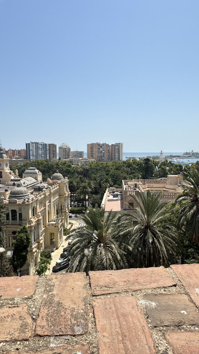 Hapluto02's tweet image. Лято