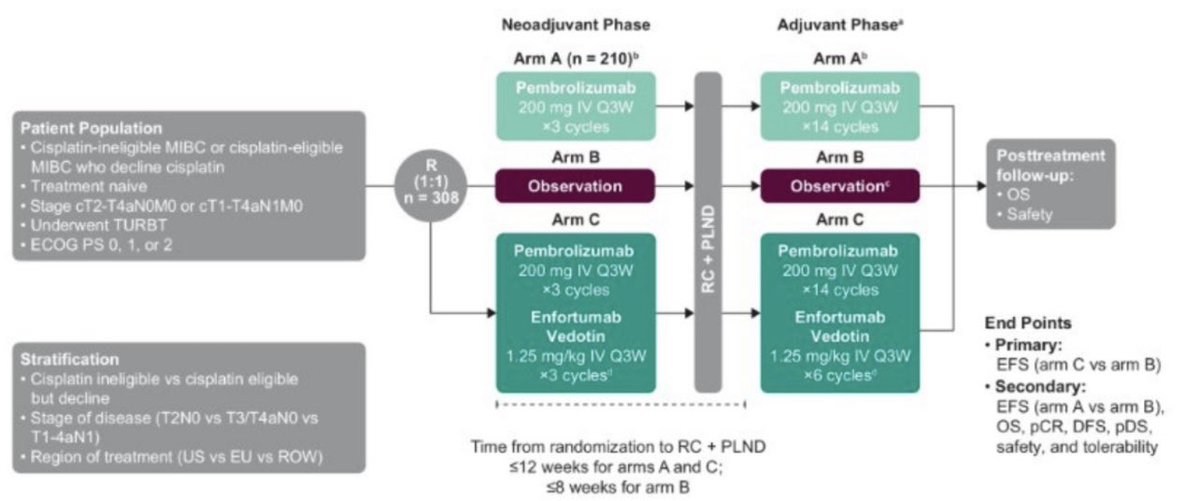 Tom Powles (@tompowles1) on Twitter photo 2/5 KN905 #ESMO25: Perioperative EVP in MIBC shows ⬆️ EFS,OS & pCR vs cystectomy alone in cisplatin ineligible MIBC. Gem/cis durvalumab showed pCR=37% & OS HR of 0.75. Will EVP be much better? Will it only apply to the cisplatin ineligible population? Will we see pembro only arm? 2/5 KN905 #ESMO25: Perioperative EVP in MIBC shows ⬆️ EFS,OS & pCR vs cystectomy alone in cisplatin ineligible MIBC. Gem/cis durvalumab showed pCR=37% & OS HR of 0.75. Will EVP be much better? Will it only apply to the cisplatin ineligible population? Will we see pembro only arm?