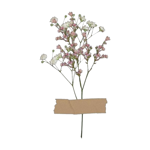 ᅠᅠ𝓗𝐄𝐋𝐀𝐄𝐍𝐀 𝐓. tweet media