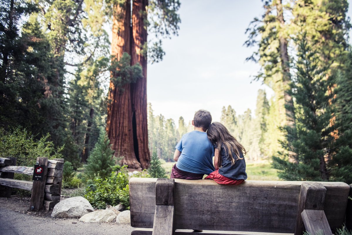 TNC Policy tweet media