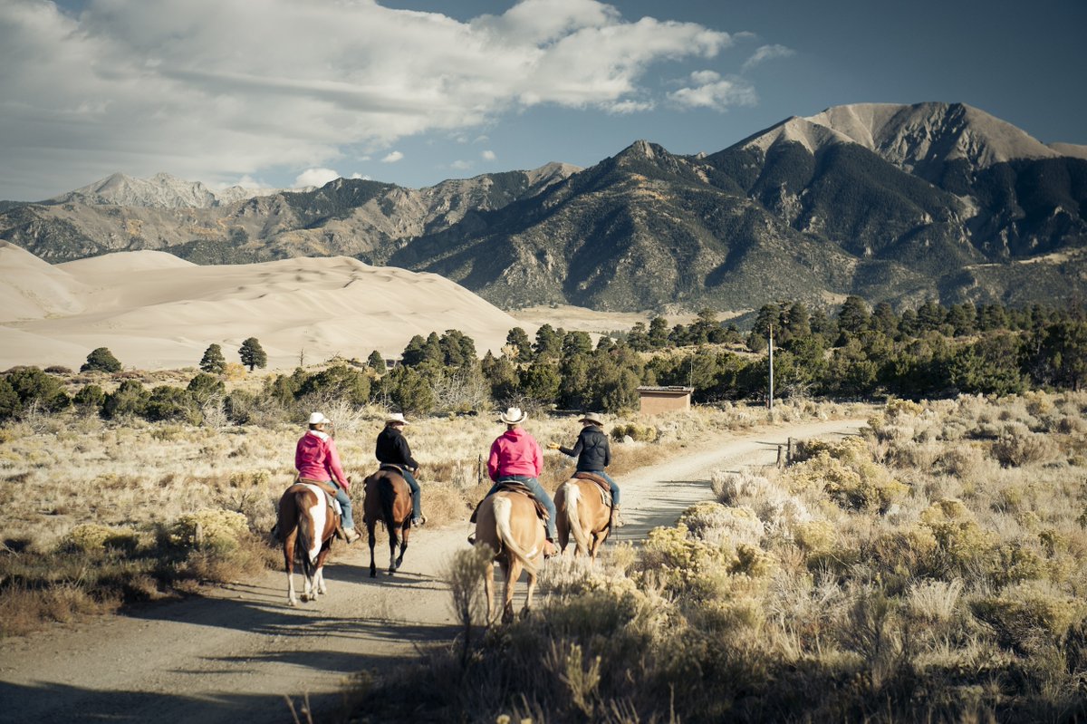 TNC Policy tweet media