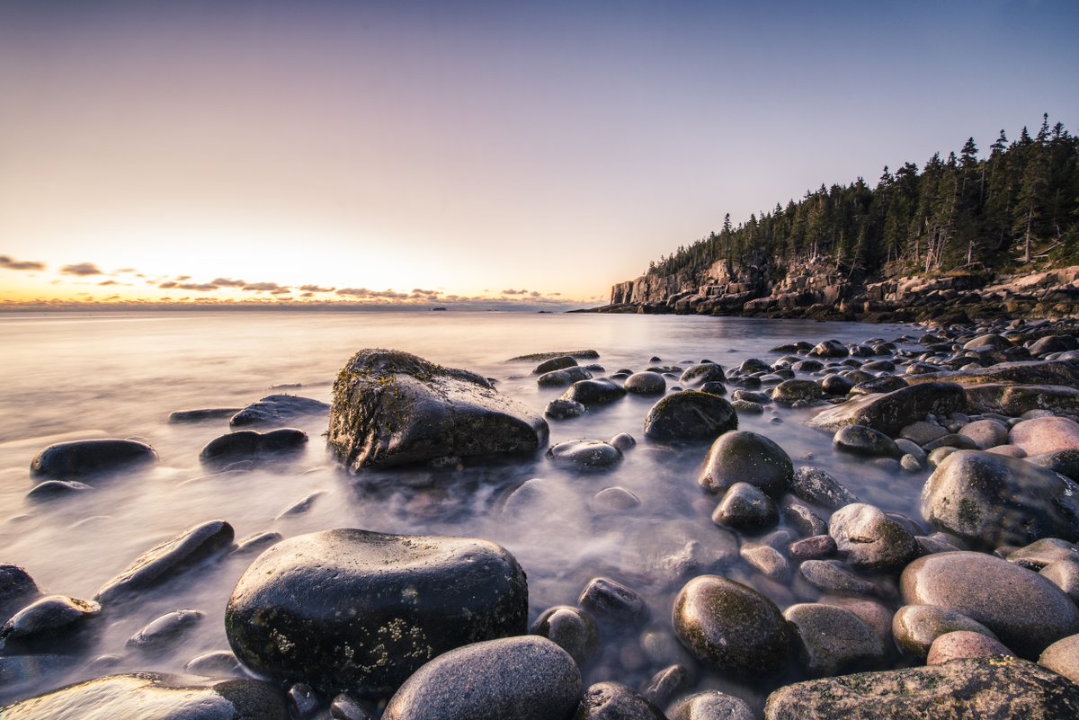 TNC Policy tweet media