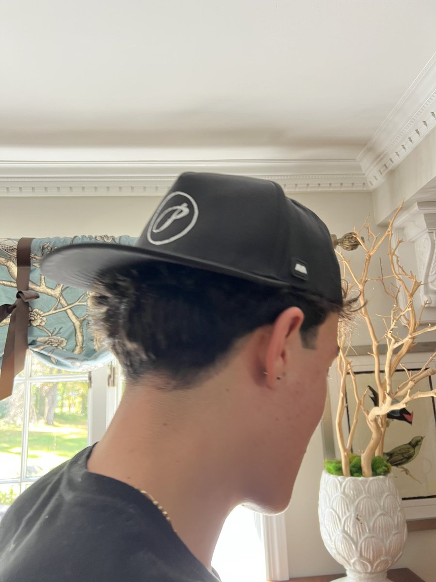 Paradiso Insurance tweet media