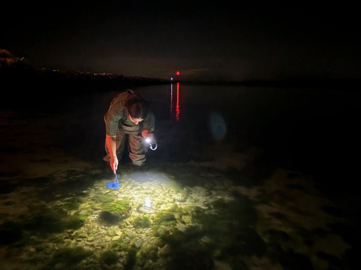 AdventuresIce's tweet photo. successful night collecting fish for science with awesome graduate student Aleen and local fishpert Michael https://t.co/r4GjeGTh67