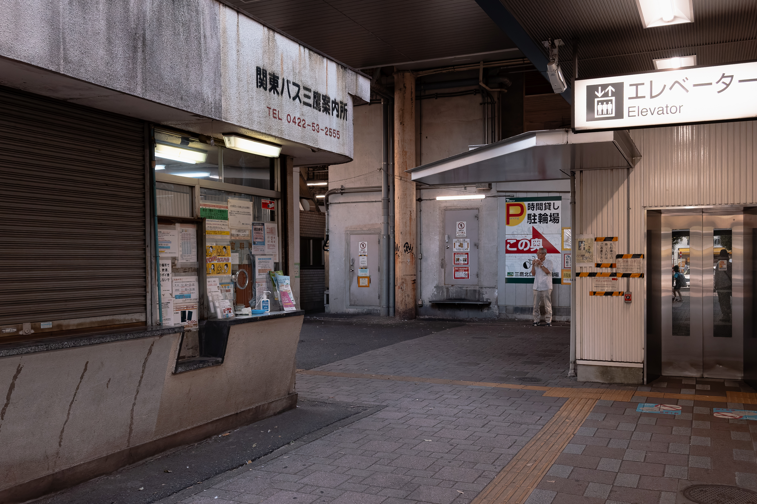 写真を見て下さい 𝐀𝐤𝐢𝐫𝐚.𝐇𝐚𝐲𝐚𝐤𝐚𝐰𝐚＠毎日写真投稿中！ on X: 