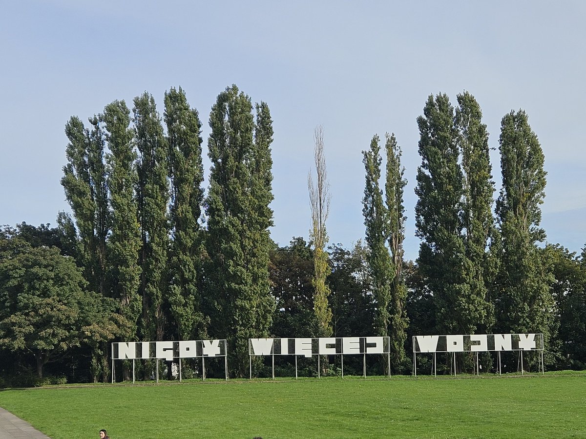 Jörn Borchert - der mit'm Fisch im Wald tweet media