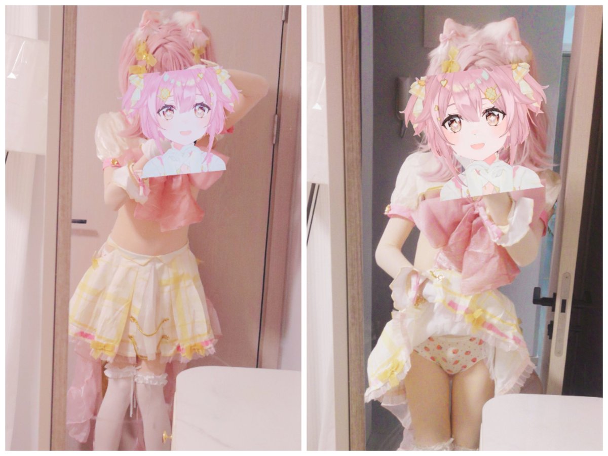 璃猫 tweet media