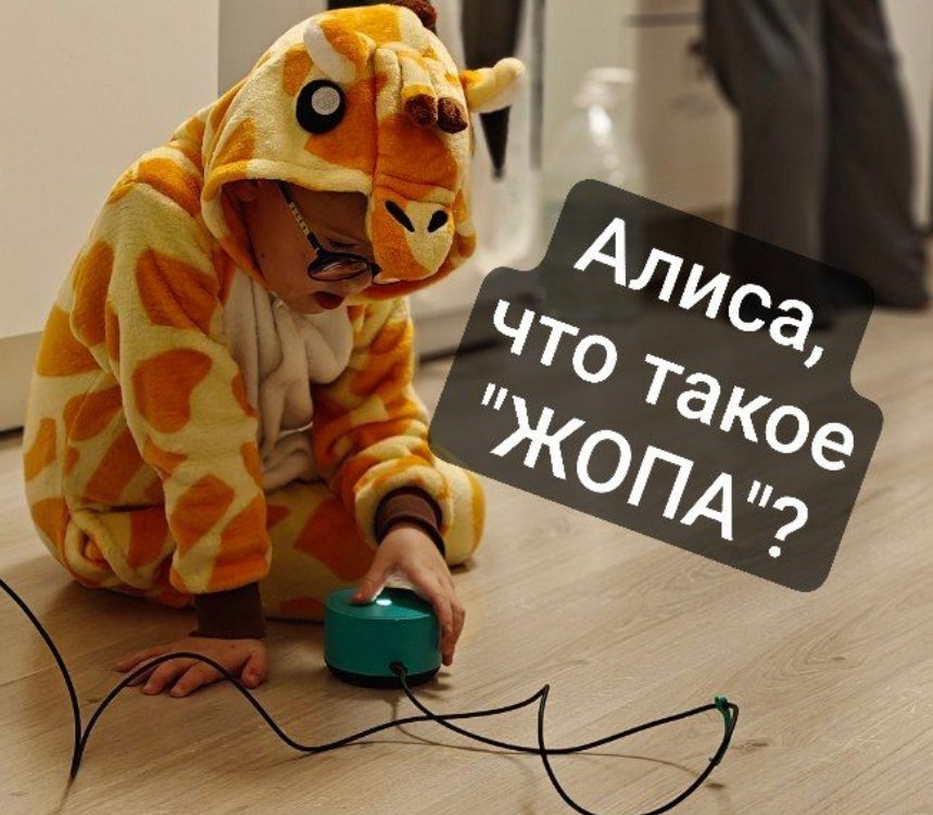 пятилетка 🤗