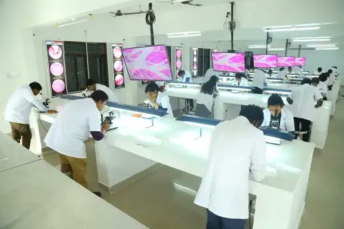 monash780356's tweet image. Thinking of a career in medicine?
At AVMC Puducherry, students learn with cutting-edge labs, 540+ bed hospital exposure, and a green campus that inspires learning. 
avmc.edu.in/chat-with-a-st…

#AVMC #MBBSAdmissions #FutureDoctors