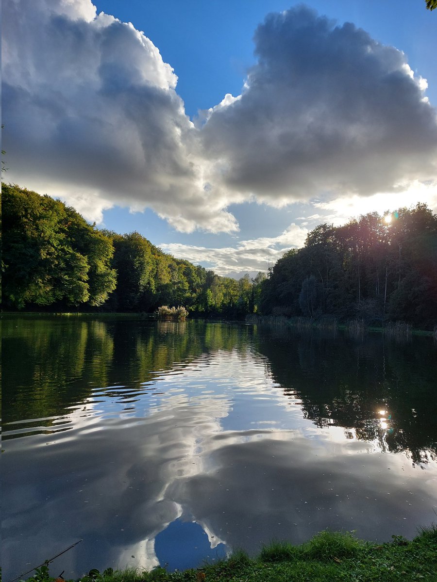 mathildeontwit's tweet image. Nog eentje bij #Strijthagen @gem_landgraaf , mijn favoriete wandel plekje 
#septemberweer #GaveLuchten 
Wat komen er prachtige foto's voorbij van iedereen 😍
Fijne avond alvast!