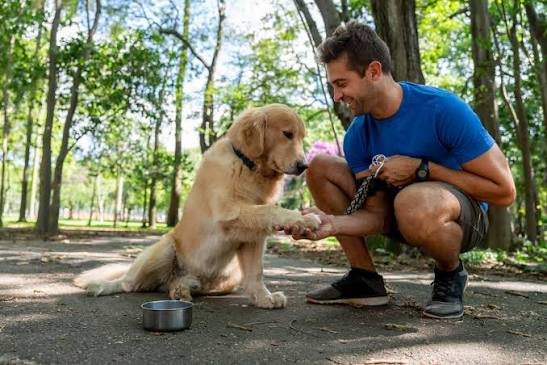 dogsolutions17's tweet photo. Brain training for dogs

Acomprehensive and simplified free PDF Guide https://t.co/87uXwHkxJF