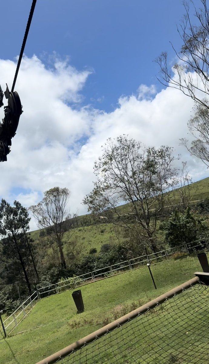 Cikogram's tweet image. fun.