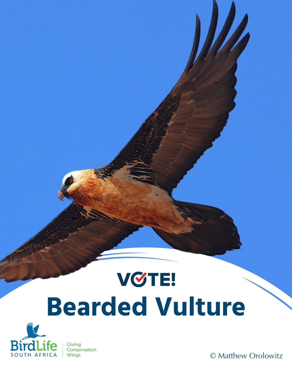 Moselantja tweet media