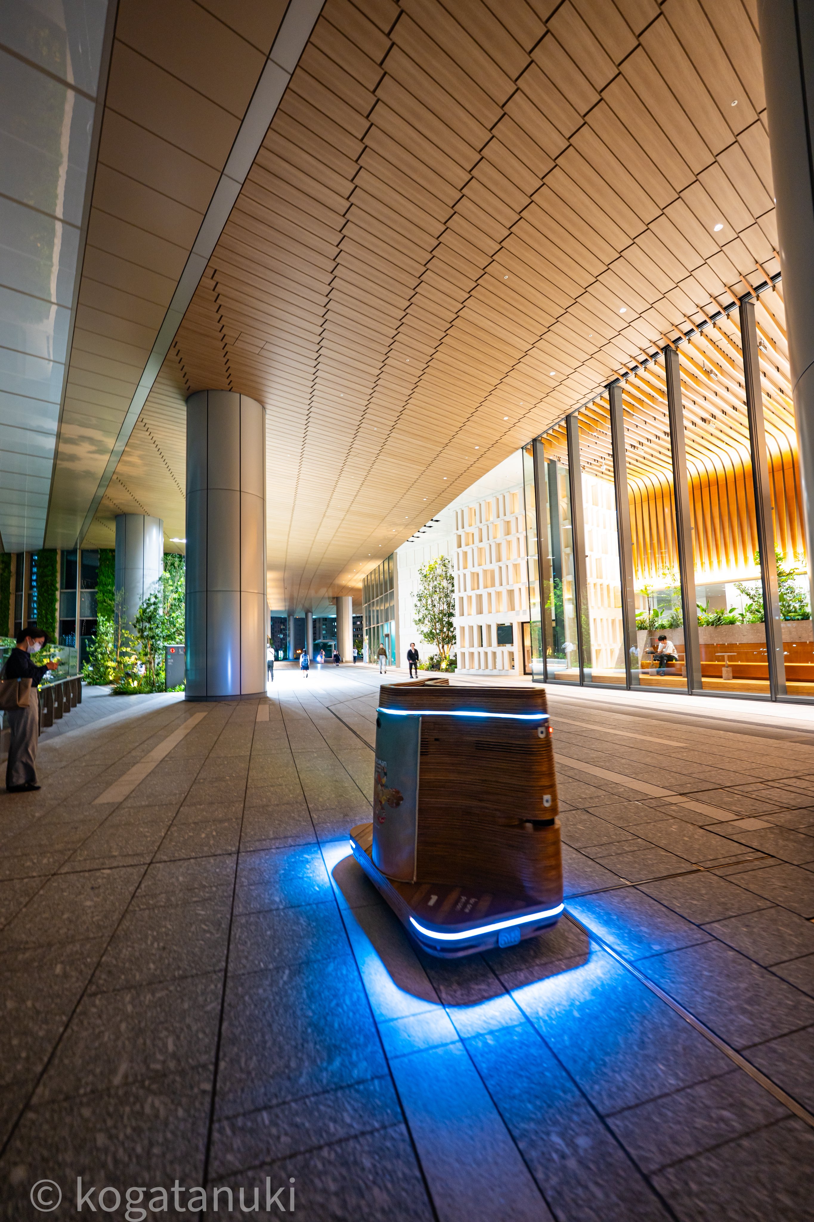 小型たぬき on X: 