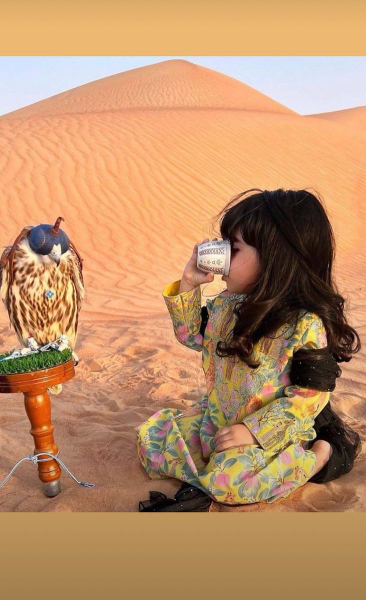 #مساء_الخير_والسعاده
ماعادت الشرهه تودي ولا تجيب
نفوسنا لا شافت التقصير عافت.