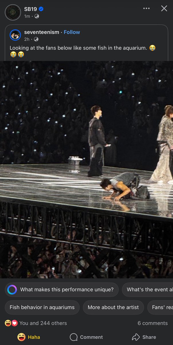 aemy 🐱 tweet media