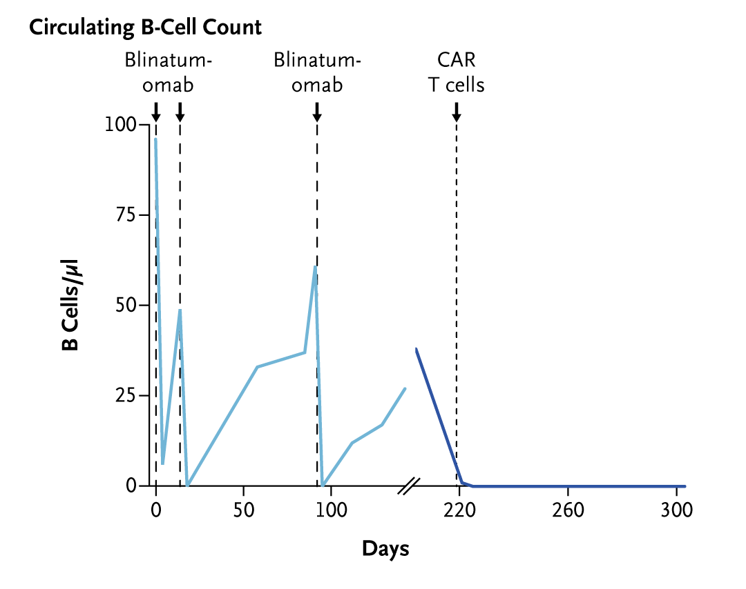 In a patient with treatment-resistant ulcerative colitis, CD19 CAR T-cell therapy led to drug-free remission and mucosal healing, suggesting that B-cell targeting may offer a novel therapeutic pathway. Read the full report: undefined