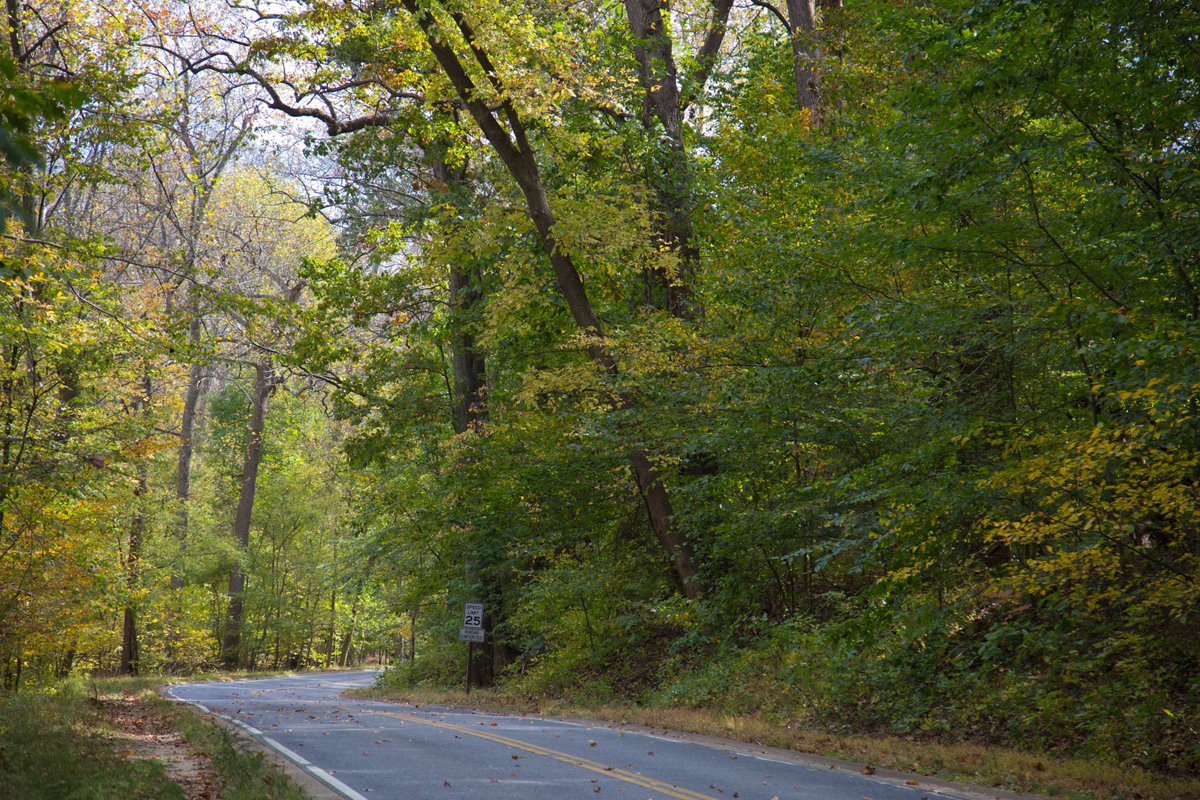 We’re 2 weeks away from the fall 2025 scenic driving day! Wondering about the event? Here’s a quick snapshot:

❓What? An opportunity to enjoy the entire length of Beach Drive from your car.

📆 When? Sat. 10/11/25

🕚 Time? 11 am-4 pm

🚗 More info? Visit go.nps.gov/ROCRDrivingDays