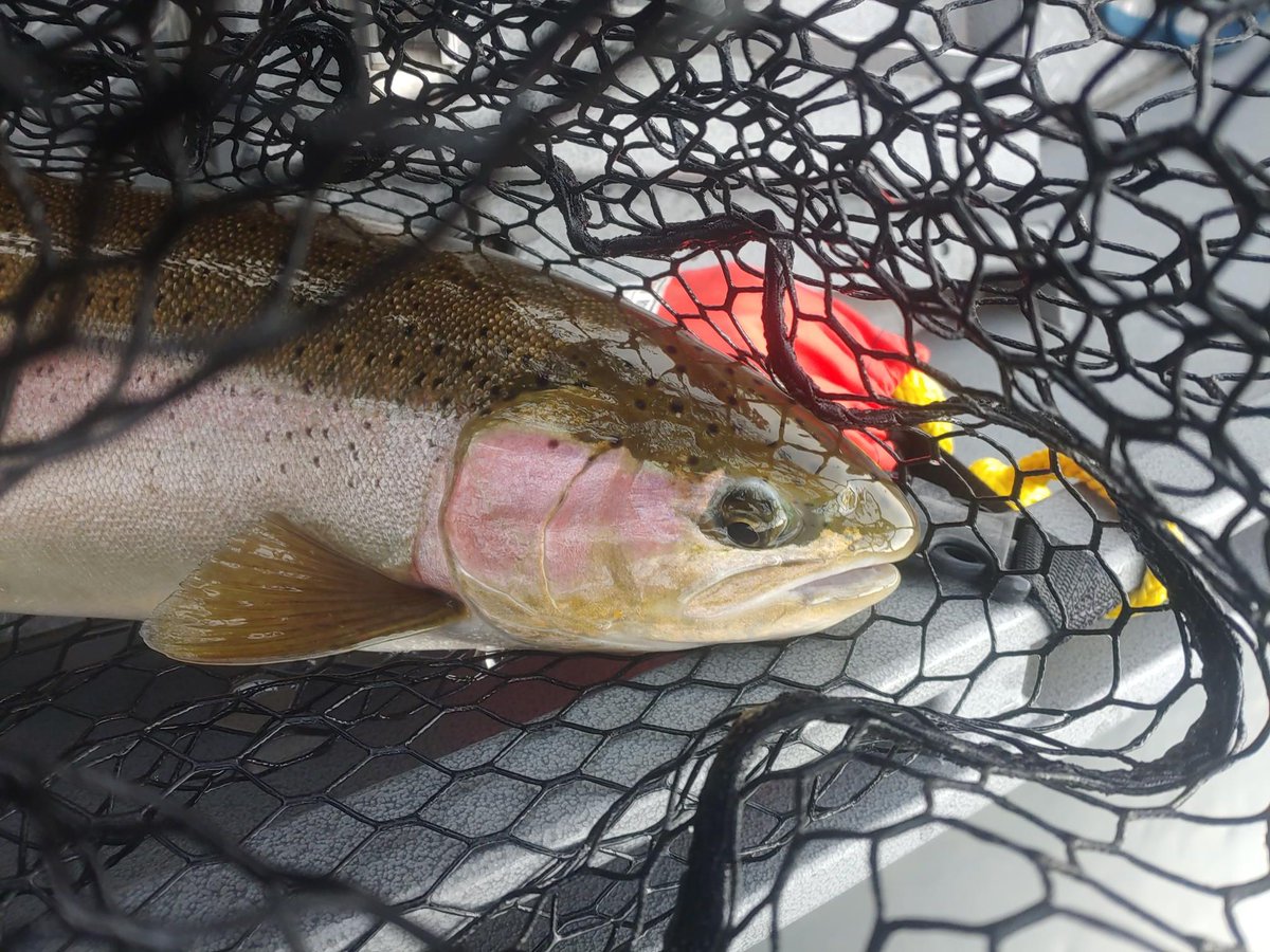 USGSCoopUnits 🐾 🎣 tweet media