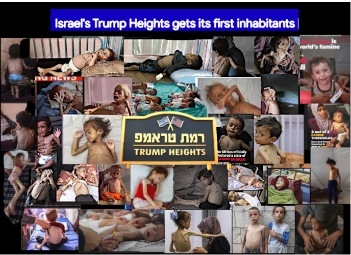 RREVNEWS's tweet photo. @MAGAARMY_ #TrumpLegacy
#STARVERofCHILDREN #PedoProtector #BabyKiller #PuppetPOTUS
#LandThief #GazaGenocide
@POTUS @realDonaldTrump
@JDVance @SecRubio @LeaderJohnThune
@SpeakerJohnson https://t.co/Dz2vN0Bg6H