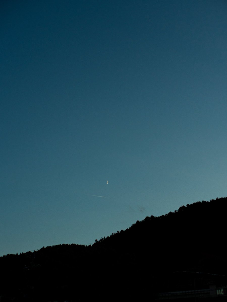 びびっとぼーい tweet media