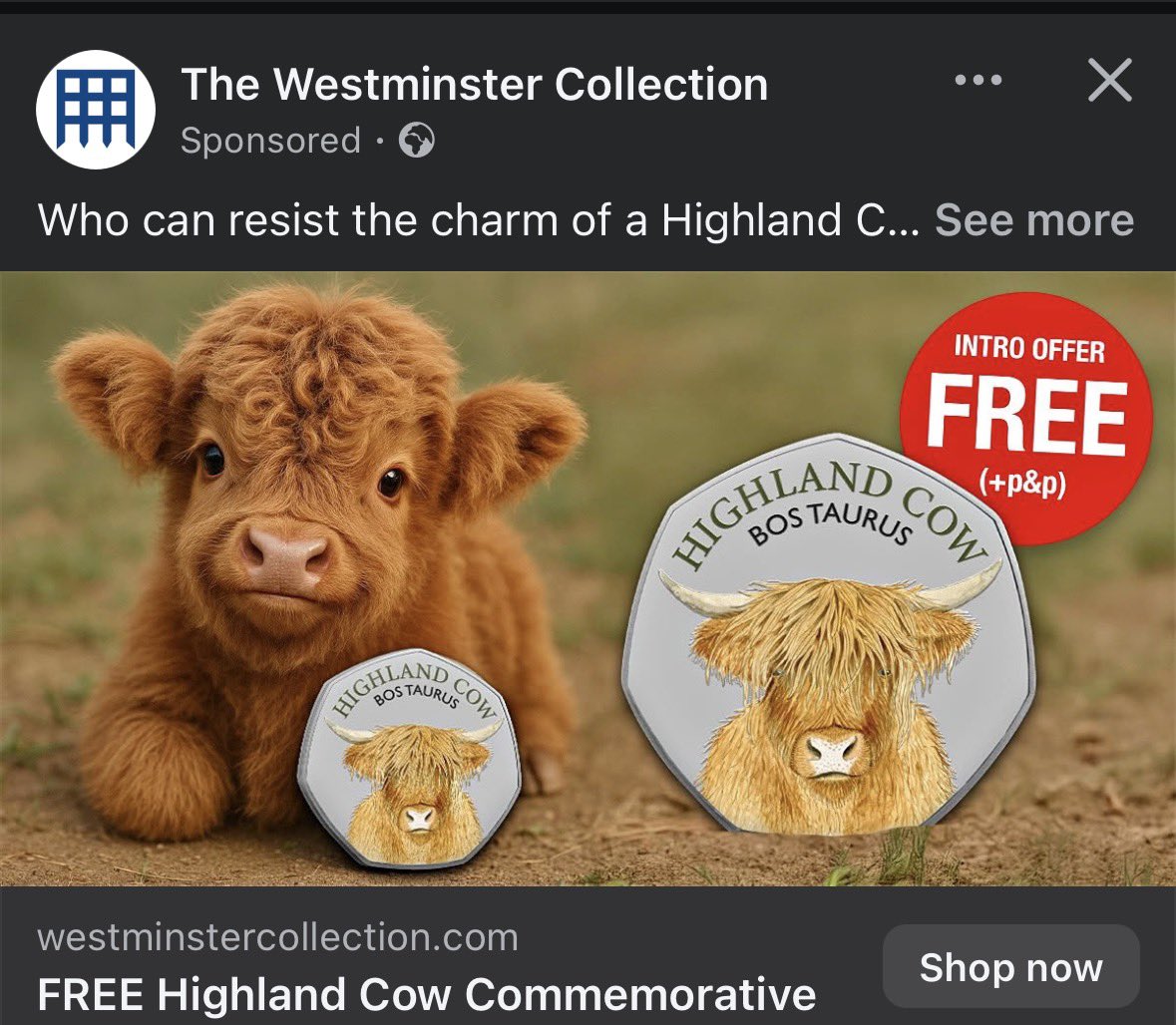 DeadrusTV tweet media