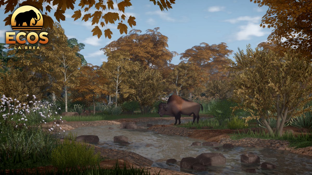 Autumnal colors  🍂 

As the days of the wet season become shorter in the fall &amp; winter months of Ice Age California, the leaves of deciduous trees (Sycamore, Walnut, Willow, &amp; Alder) will change color.