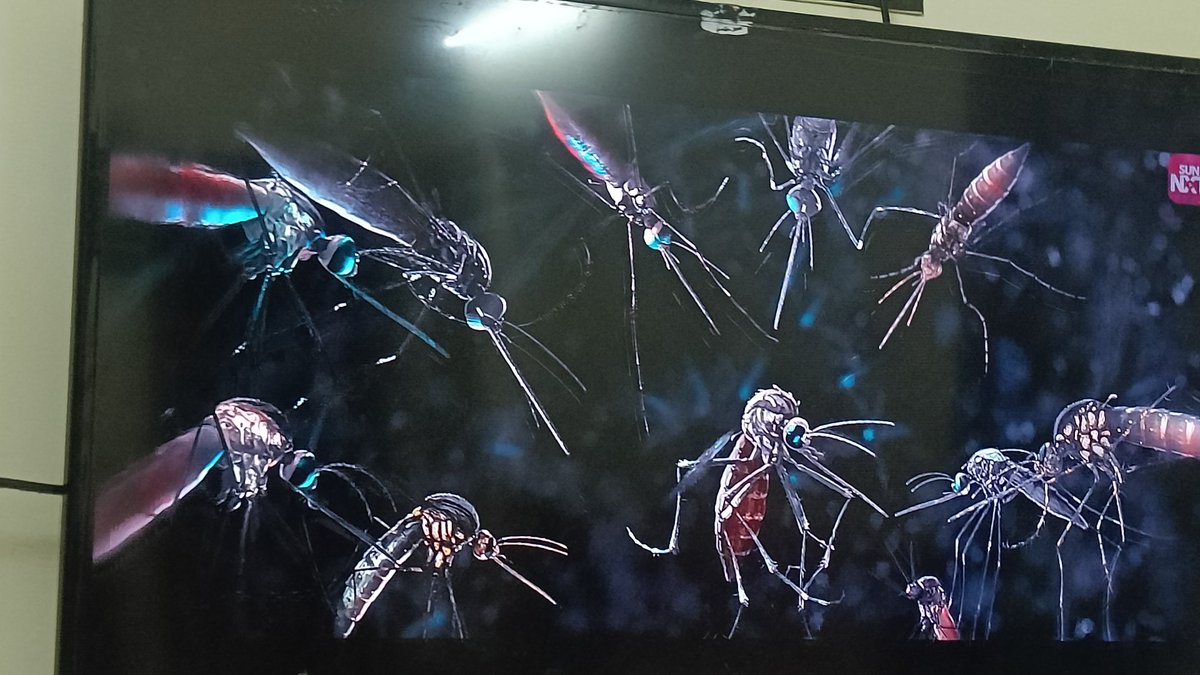 itzrajars's tweet image. High chances that Eega was inspired from this portion of Enthiran where the Robo chases Mosquito 🦟