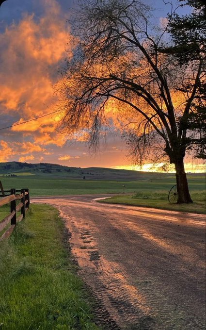 A winding road stretches through a grassy countryside at sunset. The sky is filled with vibrant orange and purple clouds. A leafless tree stands beside the road, and a wooden fence lines the grassy area. Rolling hills are visible in the distance.