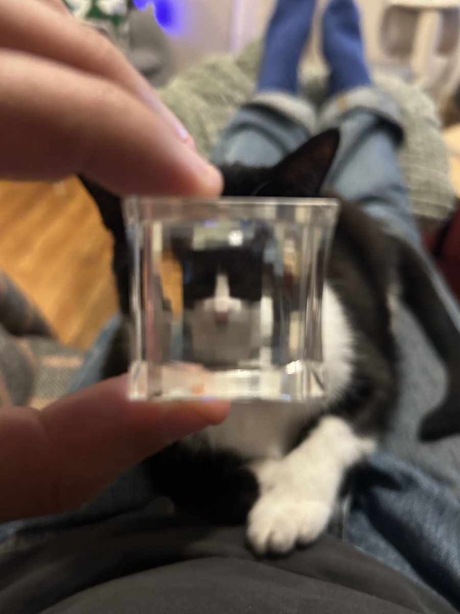 itsgalo 🗯 tweet media