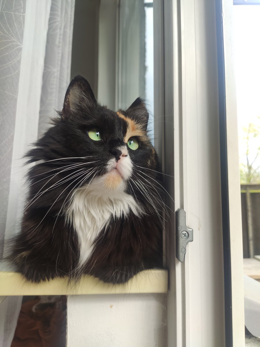 Apogs20's tweet image. Same with me 😔 No, I didn&apos;t drink coffee 🙄