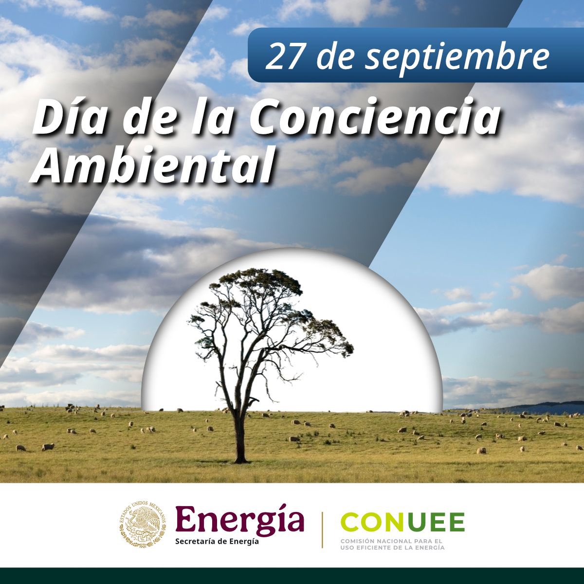 🌍💡 #DíadelaConcienciaAmbiental
Hoy recordamos que cada acción cuenta para proteger nuestro planeta. La #EficienciaEnergética es una herramienta clave para reducir emisiones, optimizar recursos y construir un futuro más sustentable para México.

#TransiciónEnergética