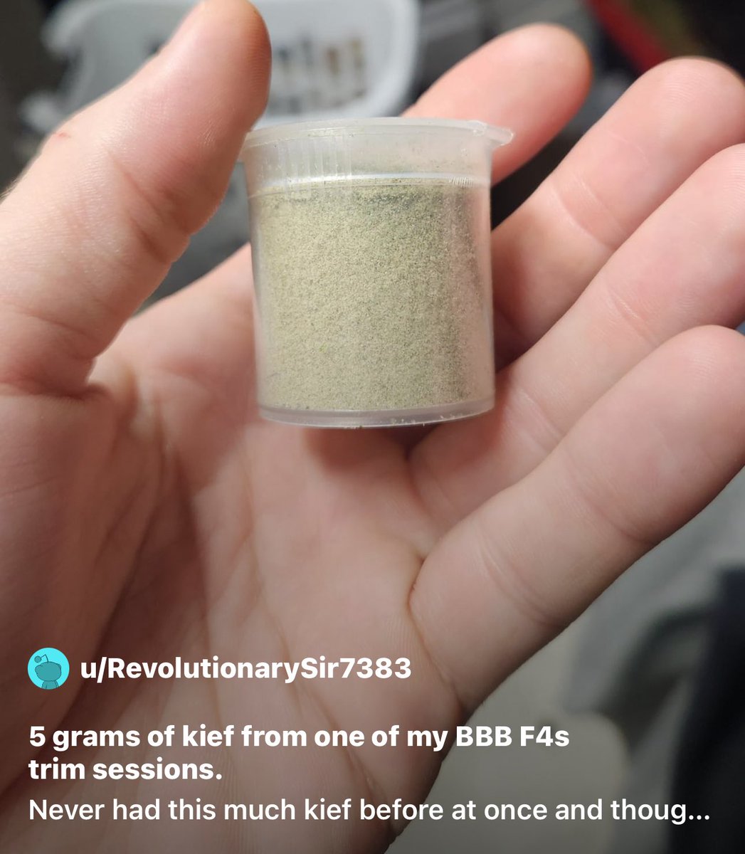 BrothersGrimmOG's tweet photo. So much KIEF! Bubbles Blueberry 🫧🫐 https://t.co/71kKEQietq